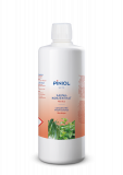 Piniol Sauna-Konzentrat Nordica